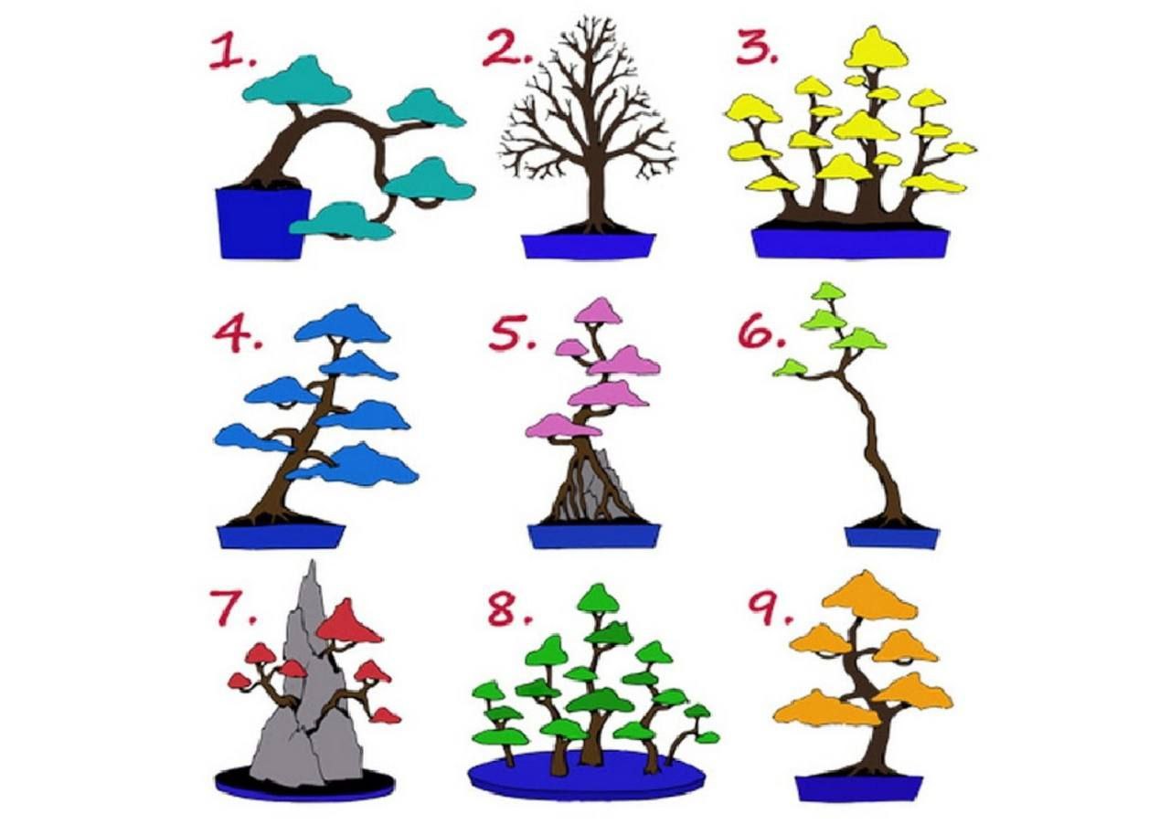 Тест с деревьями в картинках